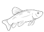 Картинки по запросу розмальовка  риби